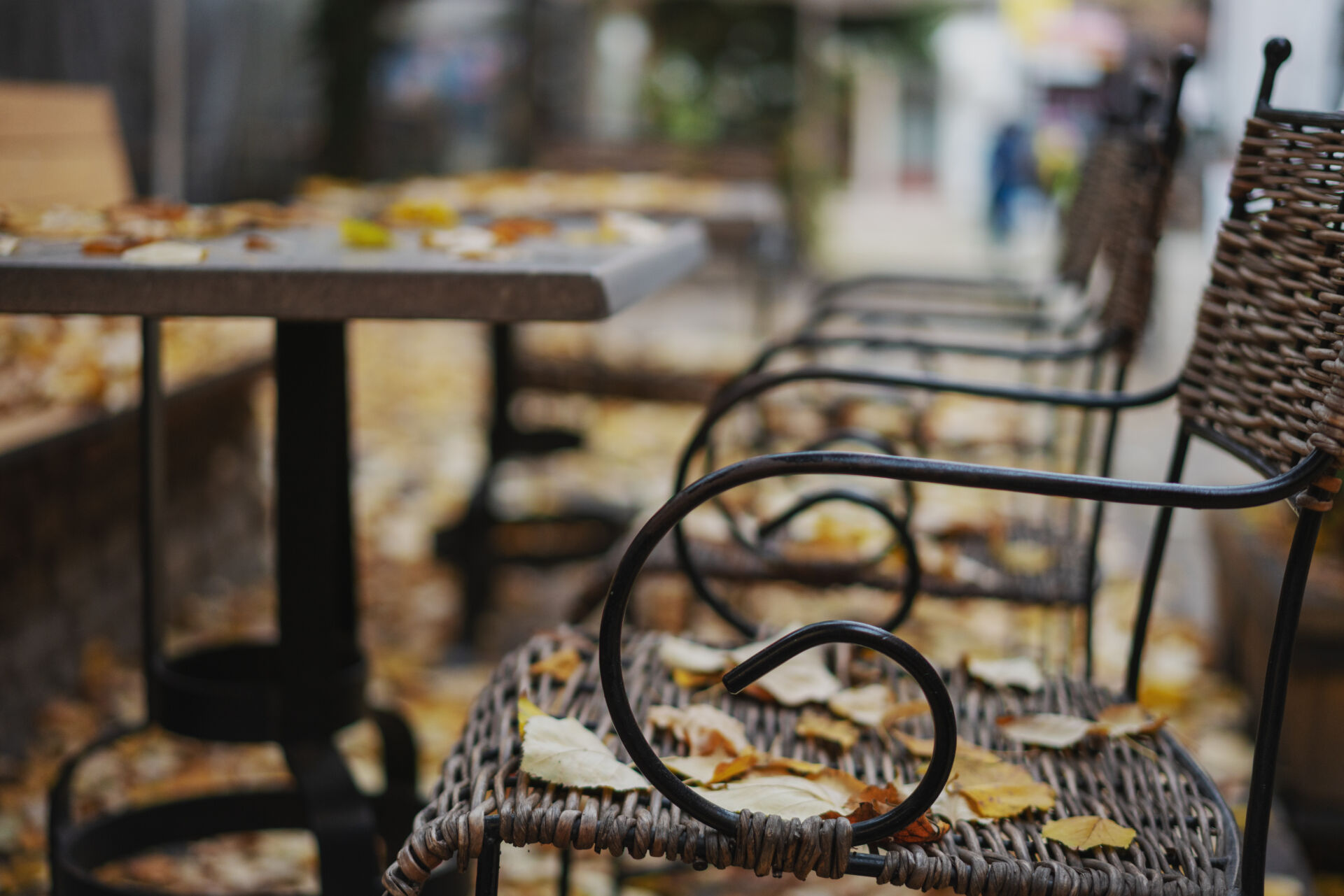 Leaf control legislation compliance for food businesses by LHM Maintenance Kent