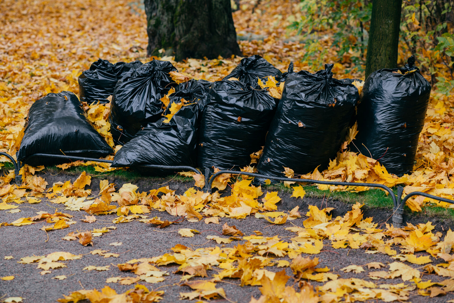 Professional Leaf Control by LHM Maintenance Kent