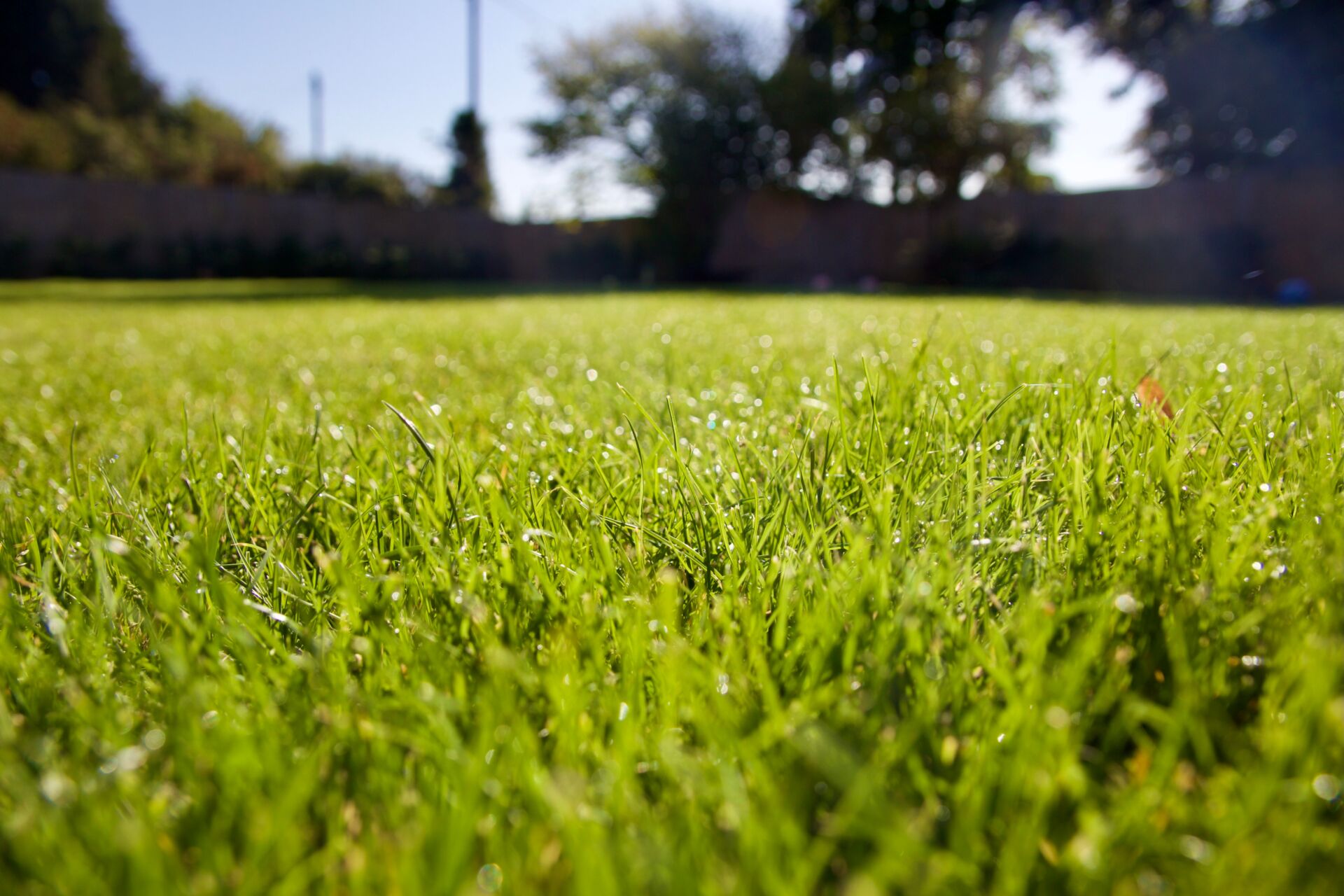 Professional Ground Maintenance in Kent with Professional Gardening for Commercial Properties