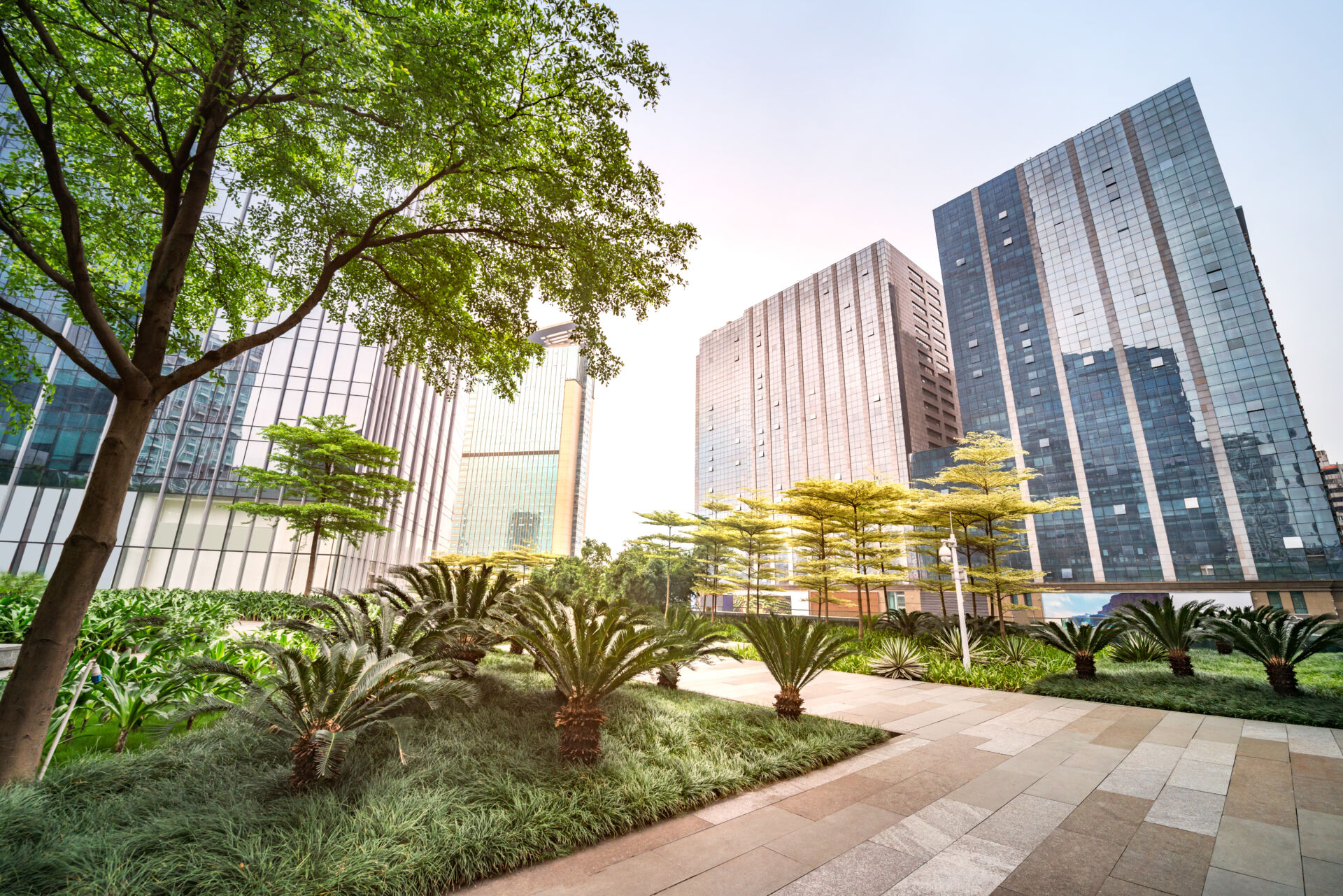 Commercial leaf control services by LHM Maintenance Kent
