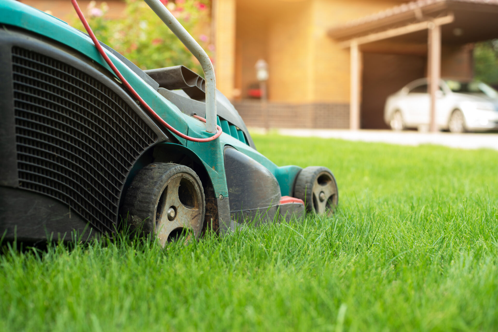 Professional lawn care and lawn moving by LHM Maintenance Kent