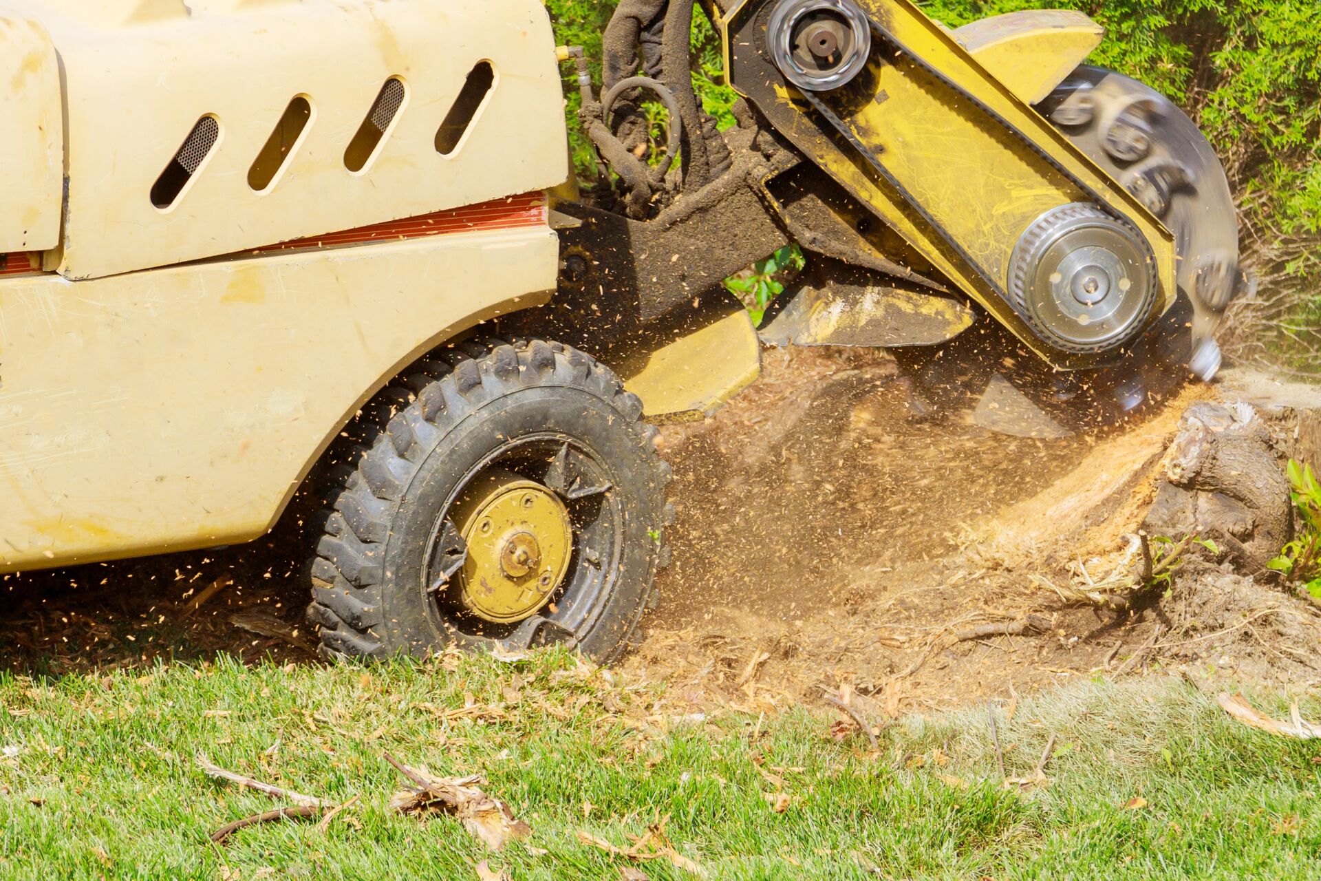 Professional Stump Grinding by LHM Maintenance Kent