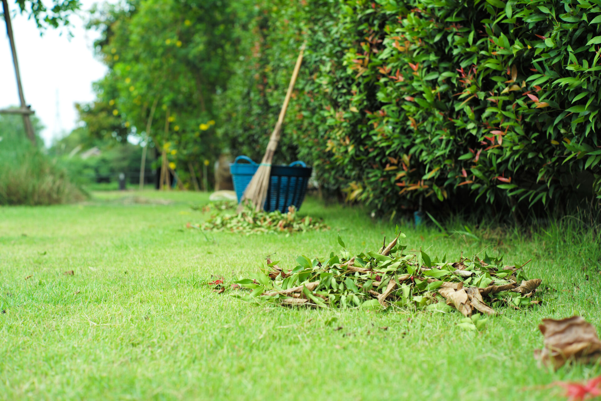 Professional Leaf Control by LHM Maintenance Kent