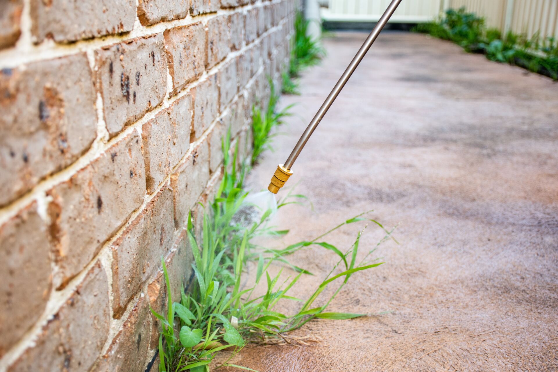 Spot Treatment weed control by LHM Maintenance Kent