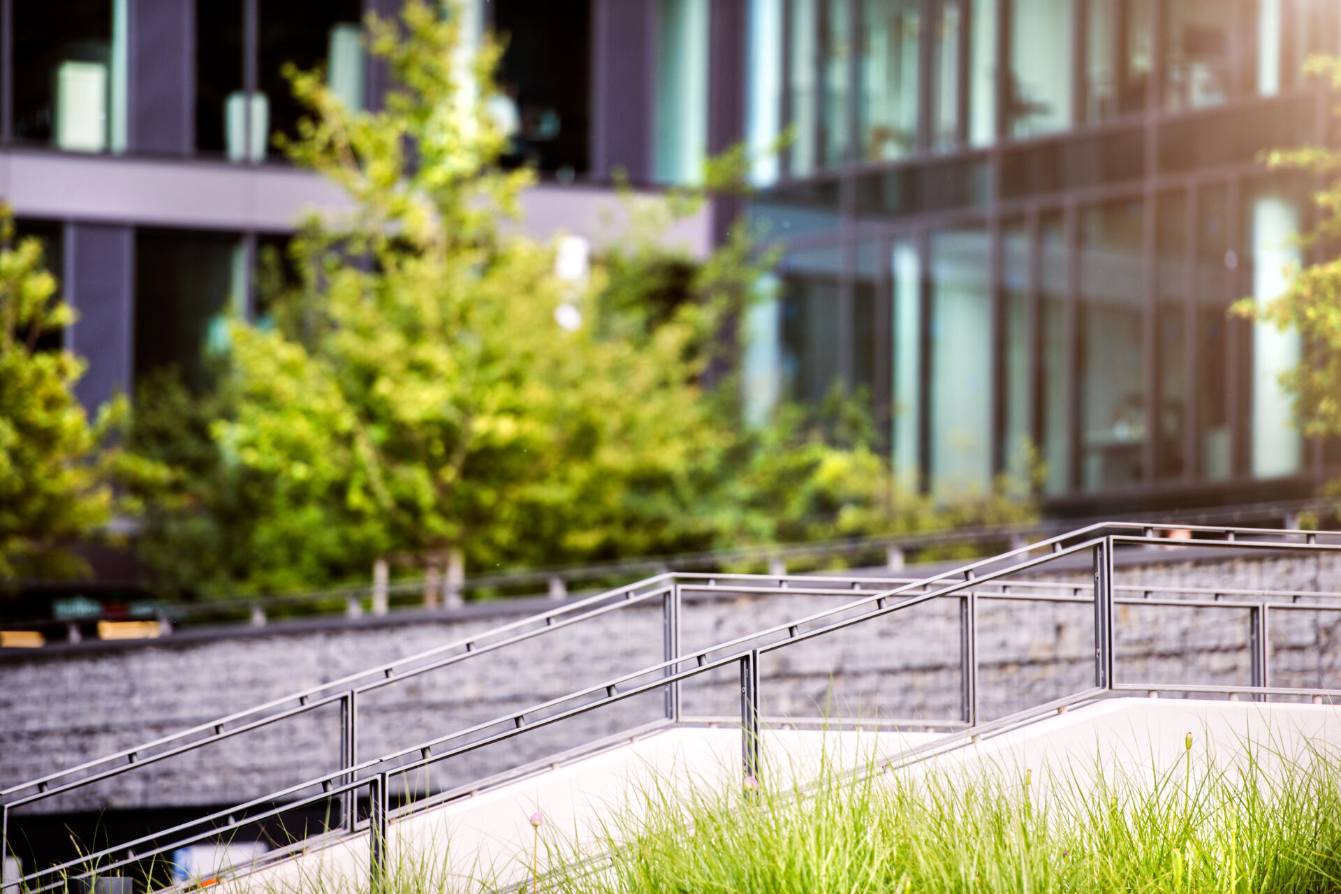 Weed Control Matters for Your Business