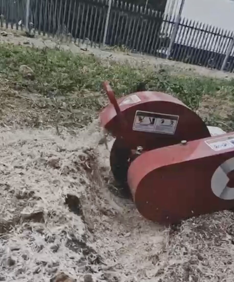 Stump grinding for a tree stump removal project in the Sittingbourne area